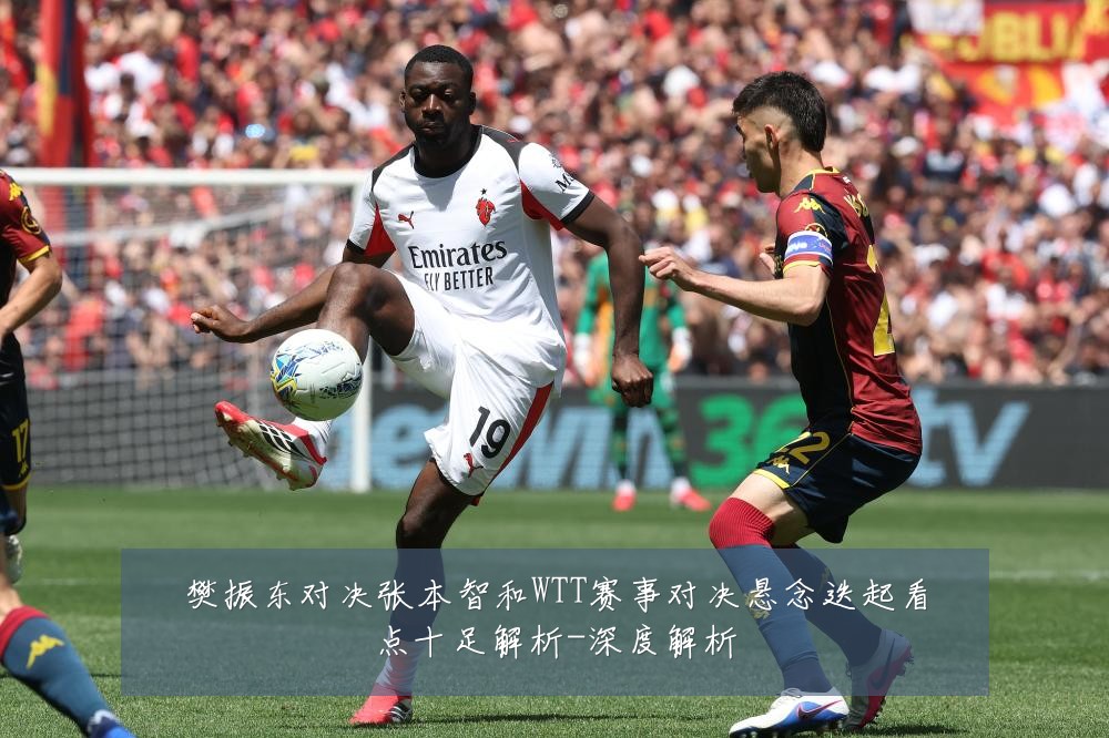 樊振东对决张本智和WTT赛事对决悬念迭起看点十足解析-深度解析
